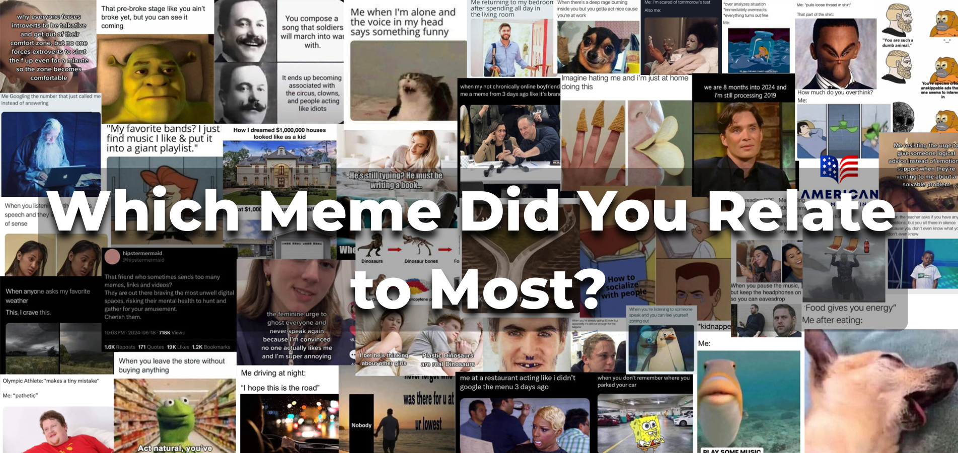 which-meme-did-you-relate-to-most